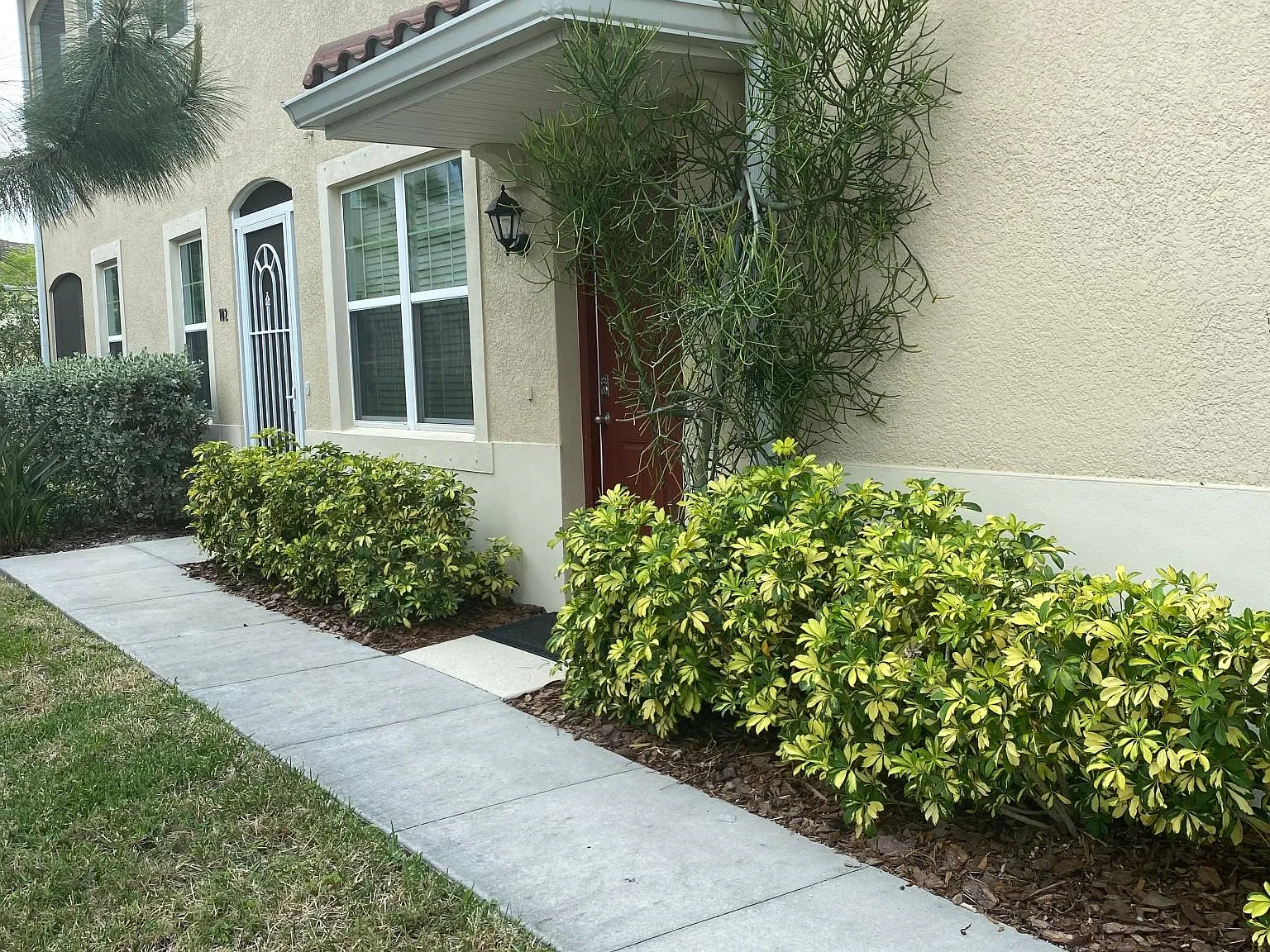 3 bed, 1600 sqft, $2,300 — Photo 4