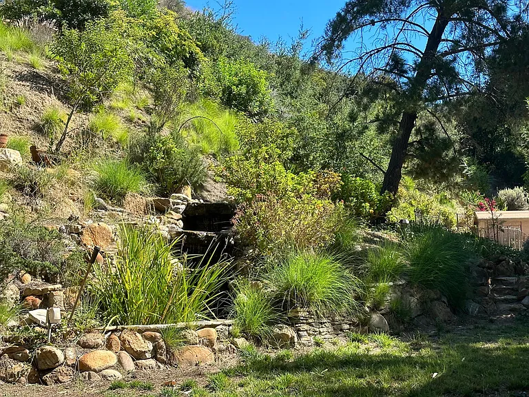 NW side yard
Waterfall & pond