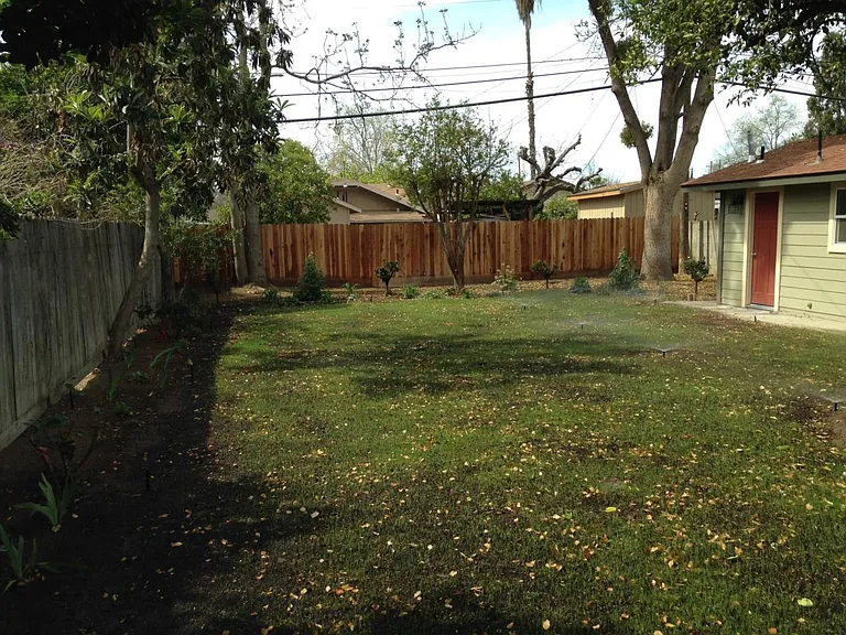 Back yard