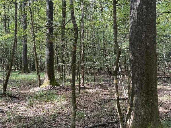 County Road 5216, Kosciusko, MS 39090