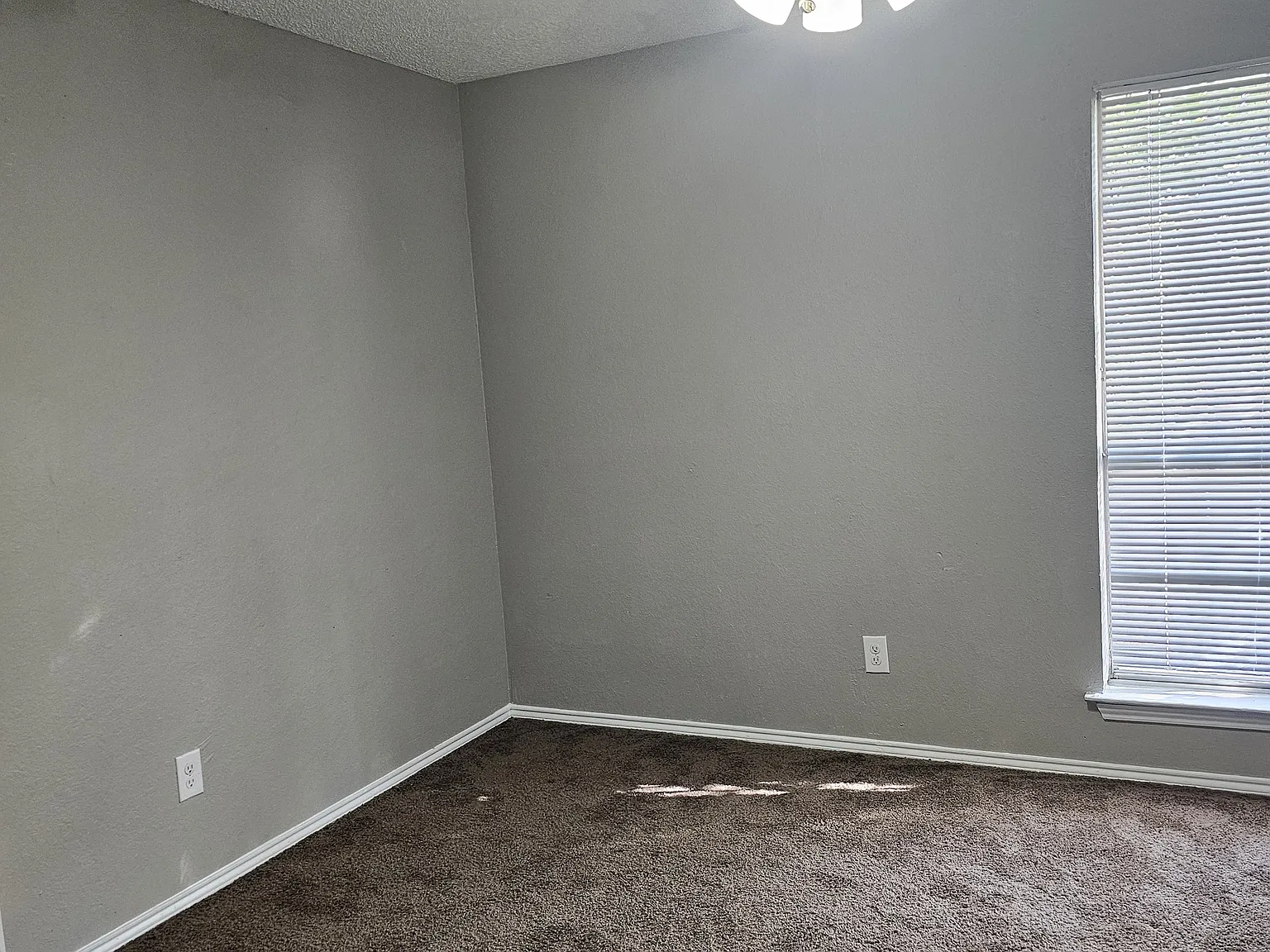 2 bed, 1350 sqft, $1,500 — Photo 4