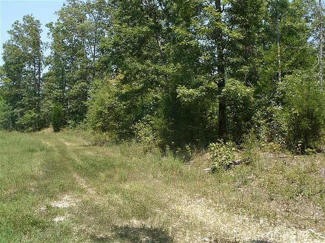 2nd image of White Oak Ridge Rd