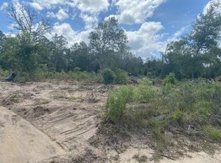 NE 118th Ter, Bronson, FL 32621