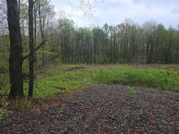 80 Fuller Rd, Greene, NY 13778