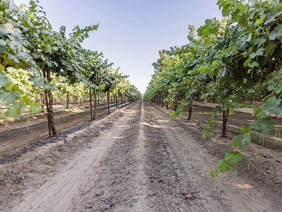 5th image of 25375 Road 164