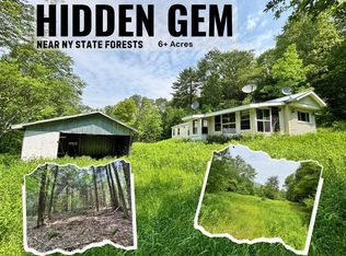 16 Indian Summer Rd, Deposit, NY 13754