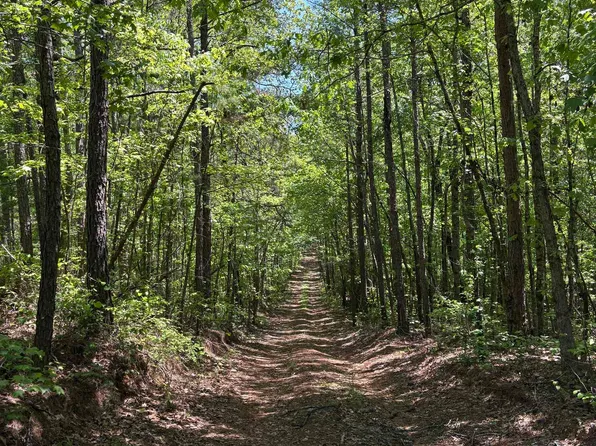 0 County Road 26 #1, Wadley, AL 36276