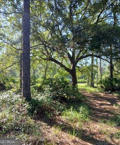 3027 Incachee Rd, Waverly, GA, 31565