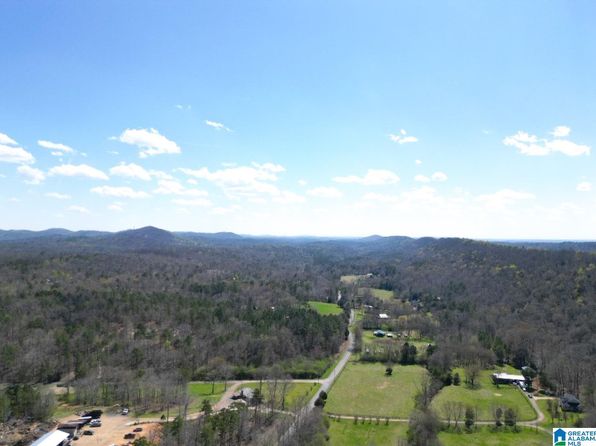 1931 Red Valley Rd, Remlap, AL 35133