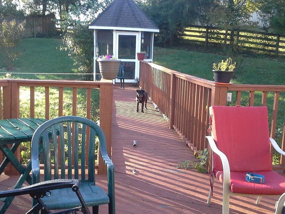 fenced in backyard with gazebo