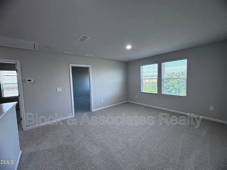 62 Thistle Patch Pl — Photo 15
