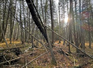 Riverview Rd SE, Grayling, MI 49738