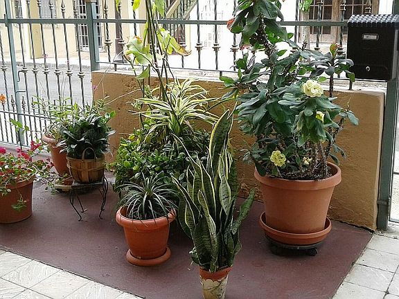 Front gated area