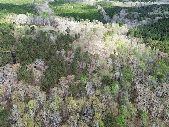 Dji Fly 20260328 115840 538 1774714094013 Photo Optimized