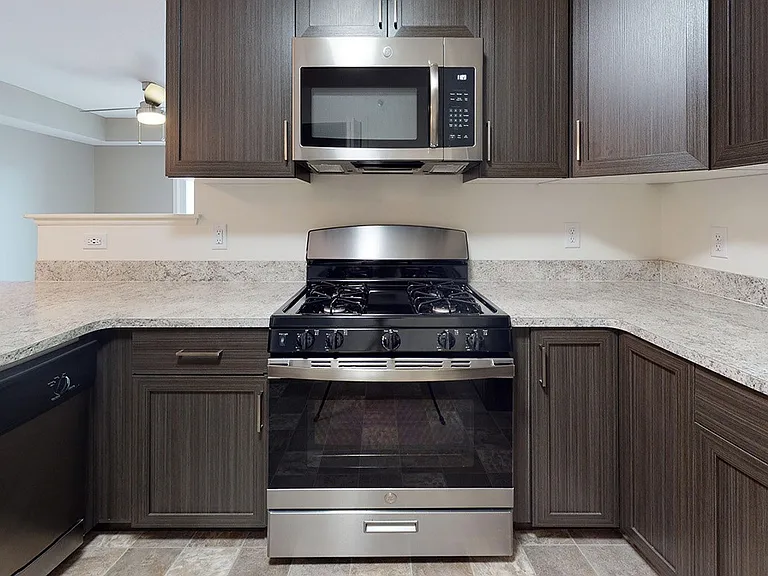 The Reserve at Destination Pointe — Photo 51