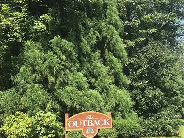 Outback Rd, Jasper, GA 30143