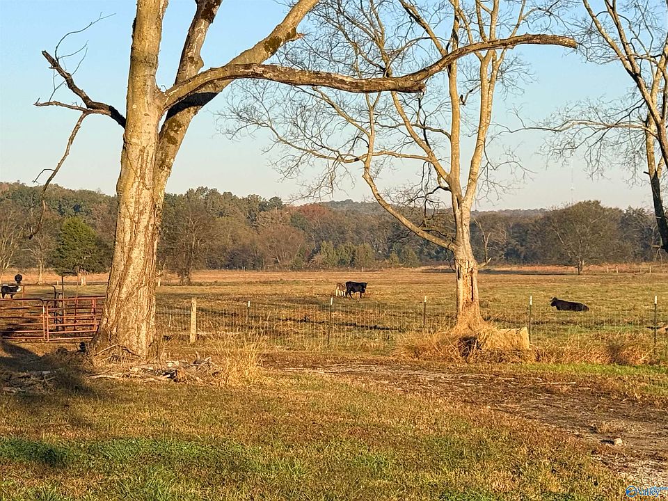 1st image of County Road 41 W