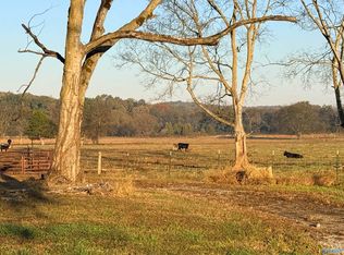 County Road 41 W, Danville, AL 35619