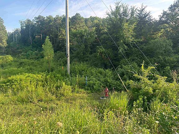 3rd image of 34.35 Acres Hwy #65-N