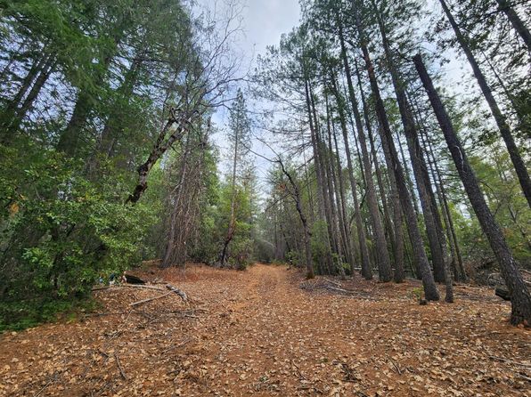 3030 Springwood Ln, Georgetown, CA 95634