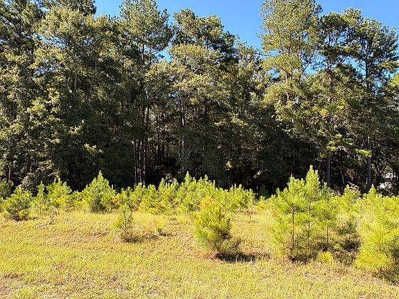 5th image of 308 Piney Grove Rd