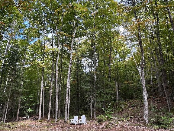3rd image of 4488 Kawagama Lake Rd