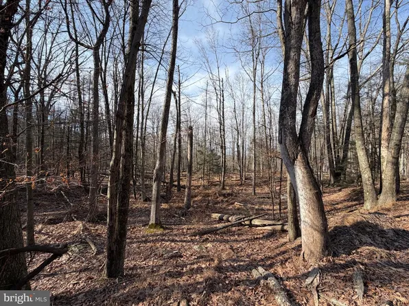 651 Aspen Dr, Zion Grove, PA 17985