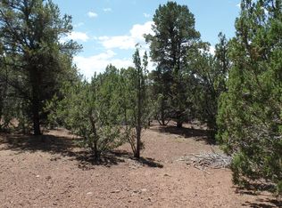 County Road 3323 PARCEL C, Vernon, AZ 85940