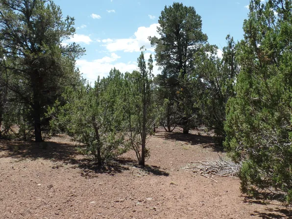 County Road 3323 Parcel C, Vernon, AZ 85940