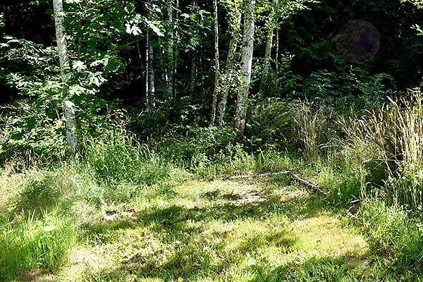 Liljedahl Rd — Photo 21