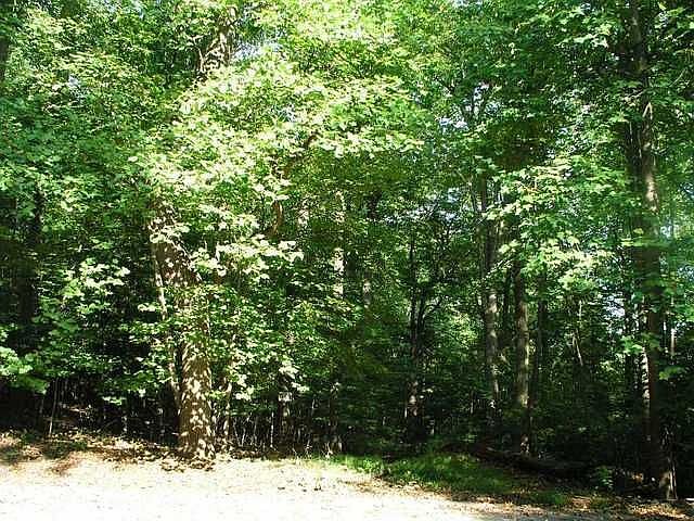 2nd image of 5 Majors Rd
