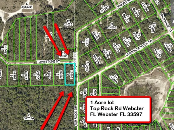 Top Rock Dr, Webster, FL 33597