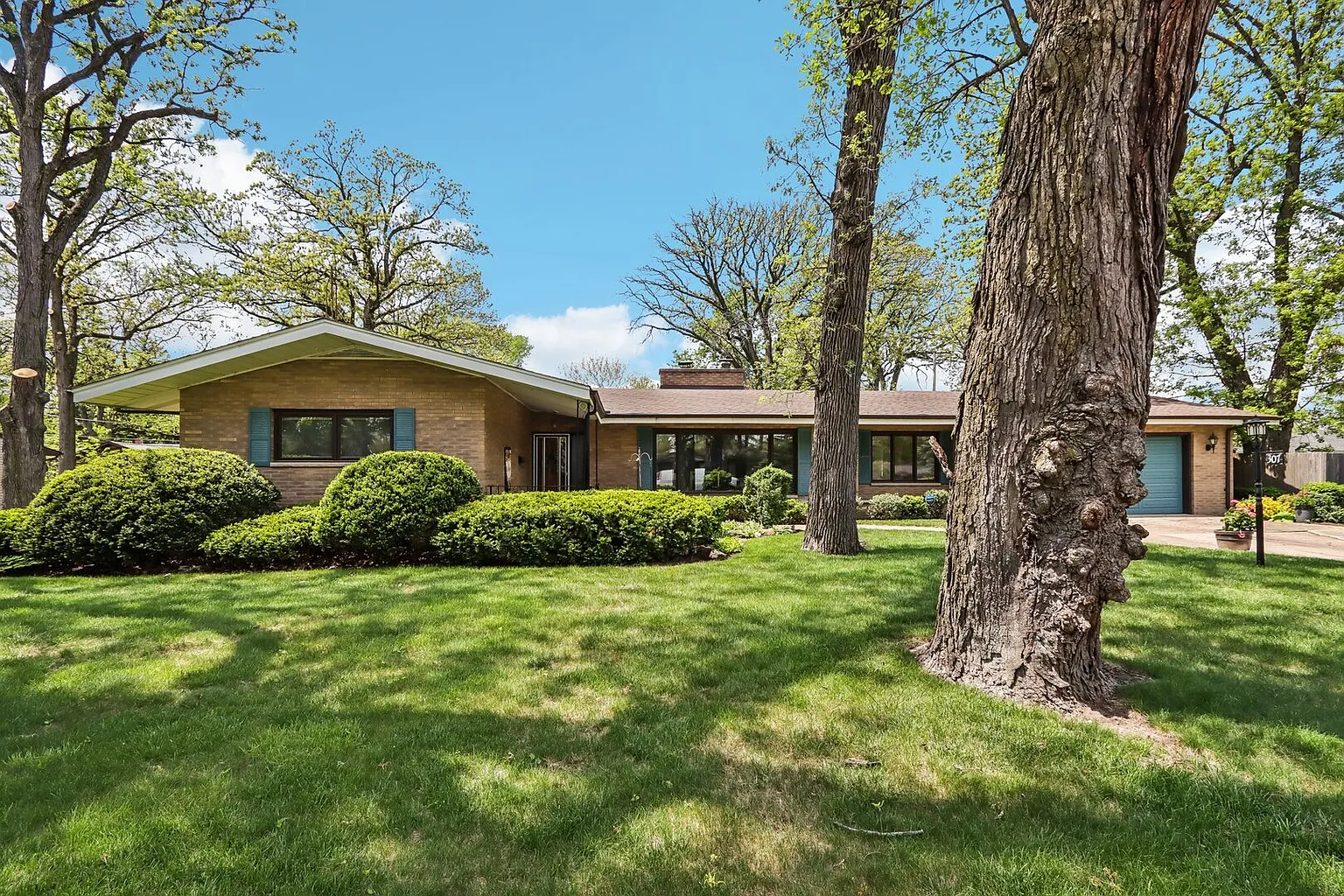 307 Dwight Ave photo 1