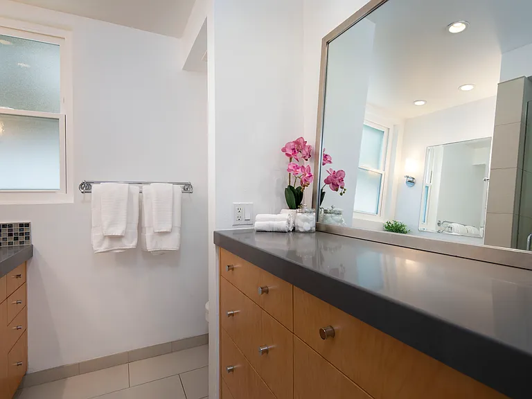 Downstairs guest bathroom with a walk in shower