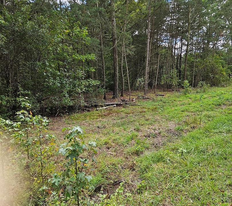 2nd image of Woodville Rd