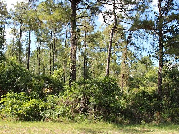 5th image of LOT 16 Apricot Ave