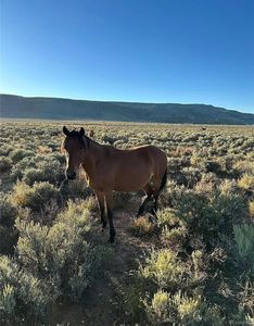 333 W Valley Drive, San Luis, CO, 81152