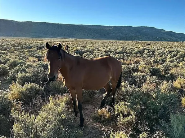 333 W Valley Drive, San Luis, CO 81152