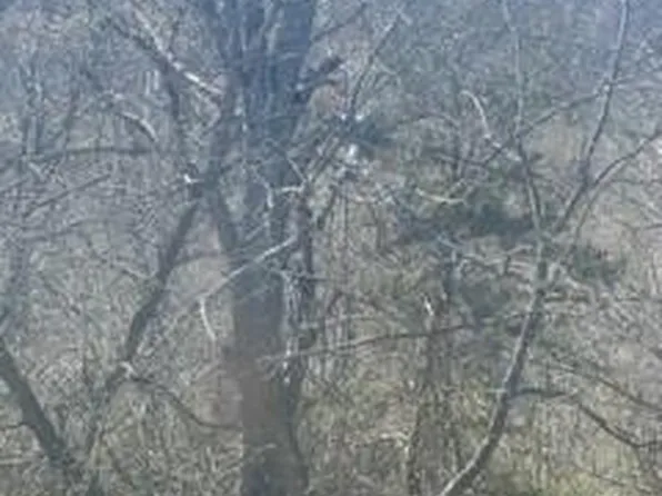 764 Joes Branch Rd, Pleasureville, KY 40057