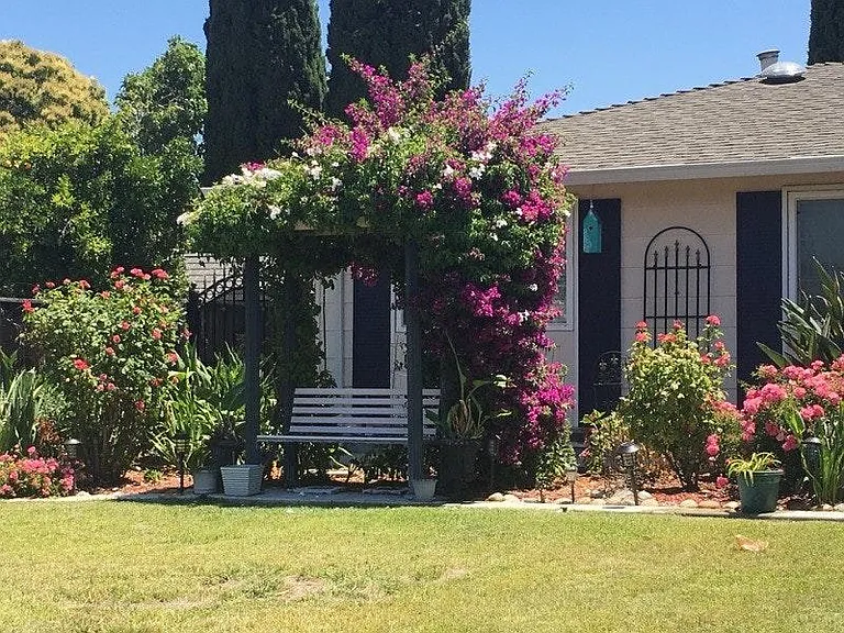 Beautiful and serene lndscaped front yard