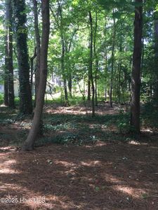 3 Belair Place LOT 56, Pinehurst, NC, 28374