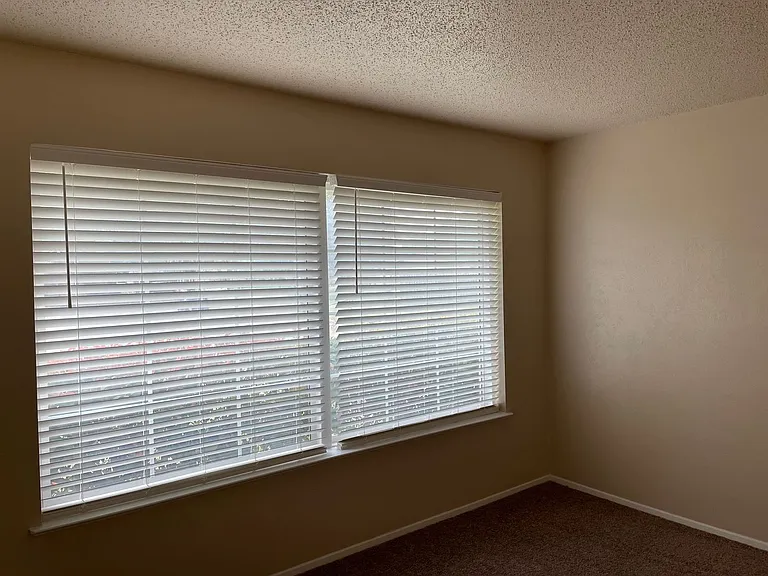 5025 Loch Lomond Dr — Photo 11