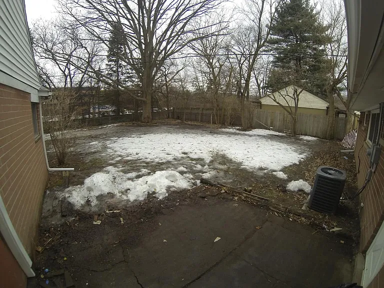 Back yard