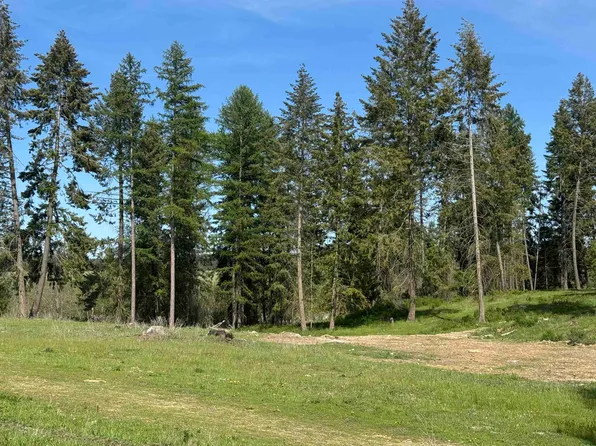 29210 N Spotted Rd Parcel F, Deer Park, WA 99006