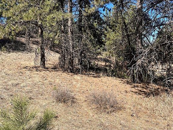 4th image of 1777 Buttonwood Rd