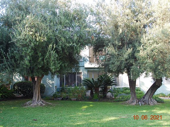 5th image of 743 Arcadia Ave Unit 6