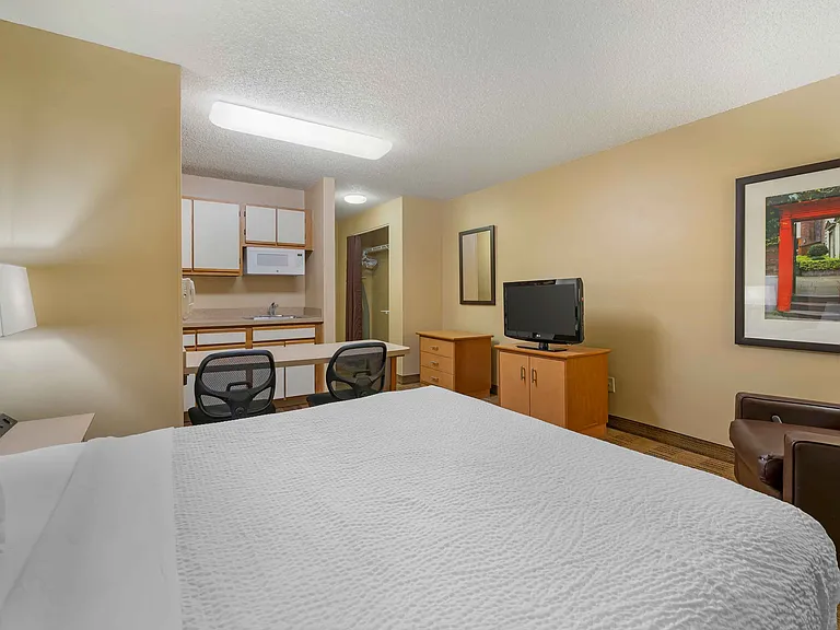 Studio Suite - 1 Queen Bed