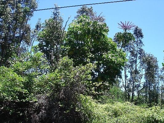 2nd image of Maikoiko St Lot 965