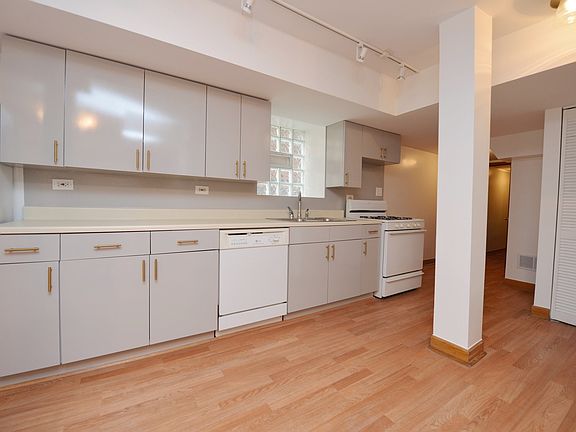 2nd image of 1007 N Lasalle St #1