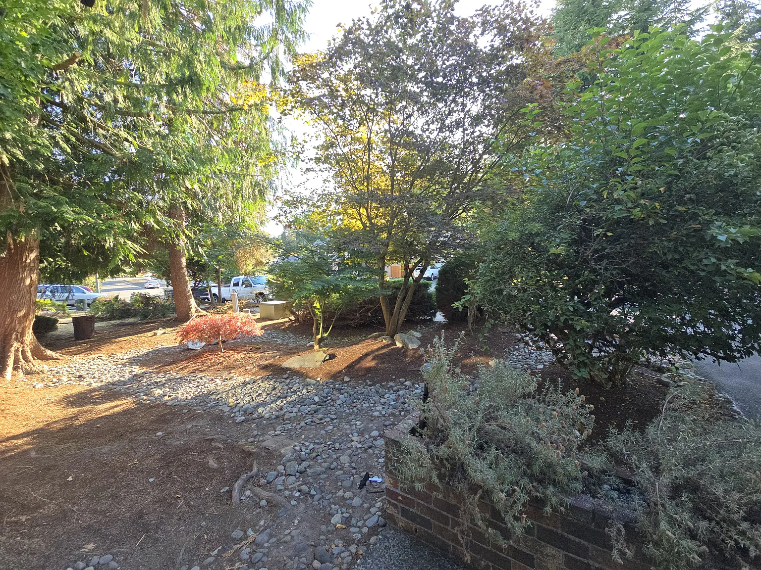 3 bed, 2.5 bath, 1729 sqft, $3,450 — Photo 3